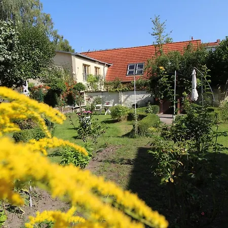 Zentrale Ferienwohnung Mit Gartennutzung Schwerin  Exterior photo