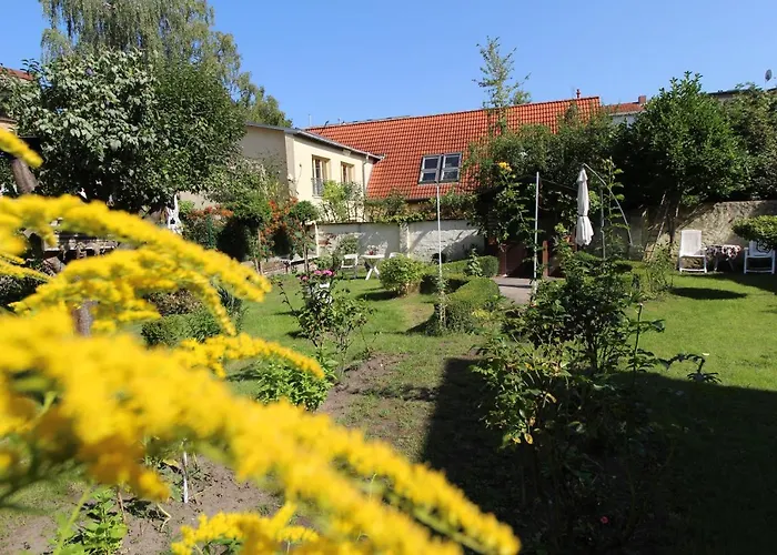 Zentrale Ferienwohnung Mit Gartennutzung