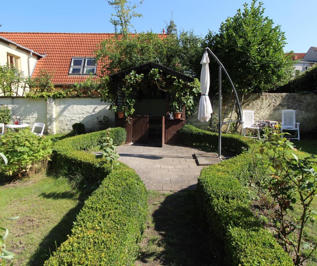 Apartment Zentrale Mit Gartennutzung *