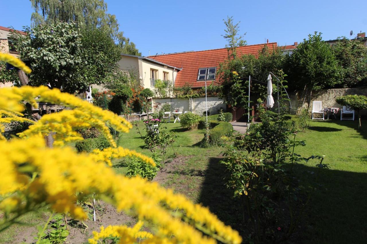 Zentrale Mit Gartennutzung *